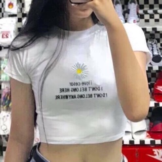 Áo crt hoa cúc chất thun