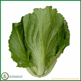 Hạt giống Cải tòa xại (cải bẹ dưa) RD 673 - 20g