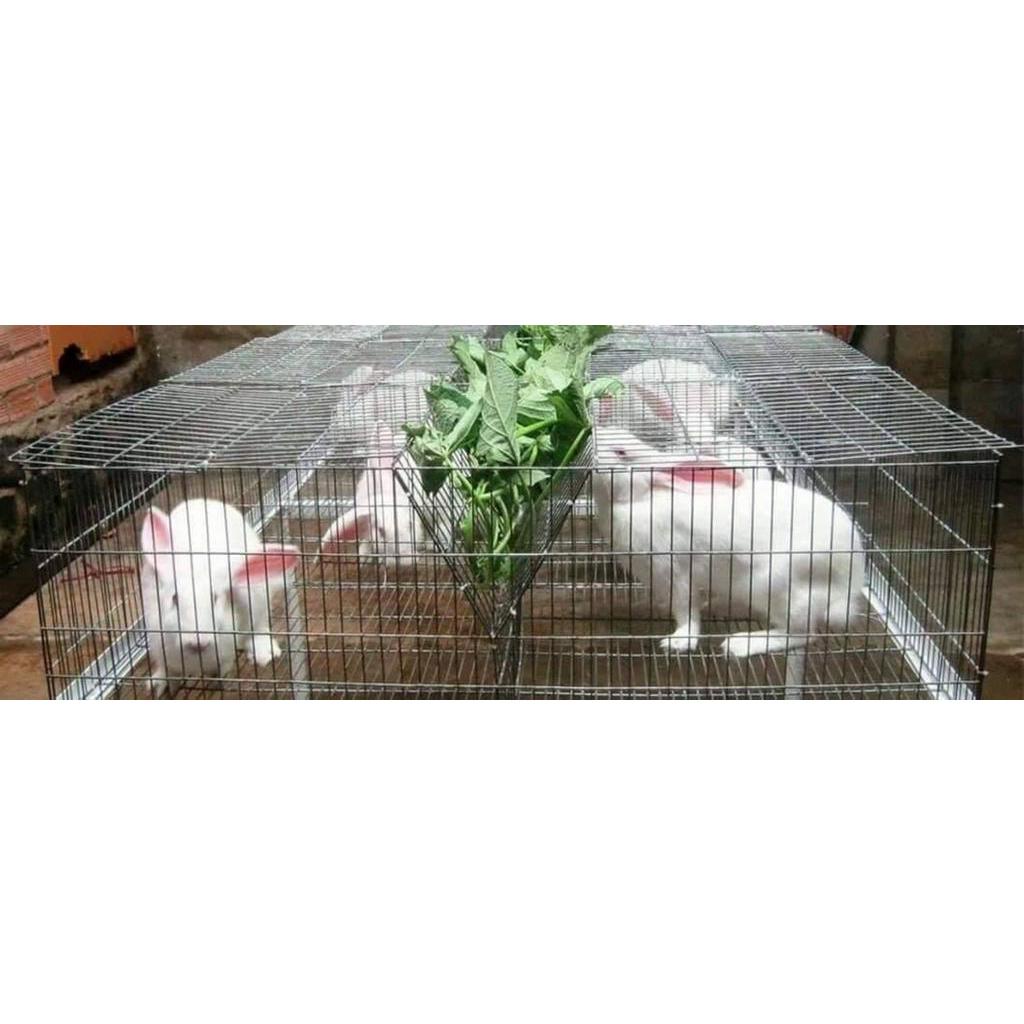 Lồng thỏ sinh sản 120x60x35cm