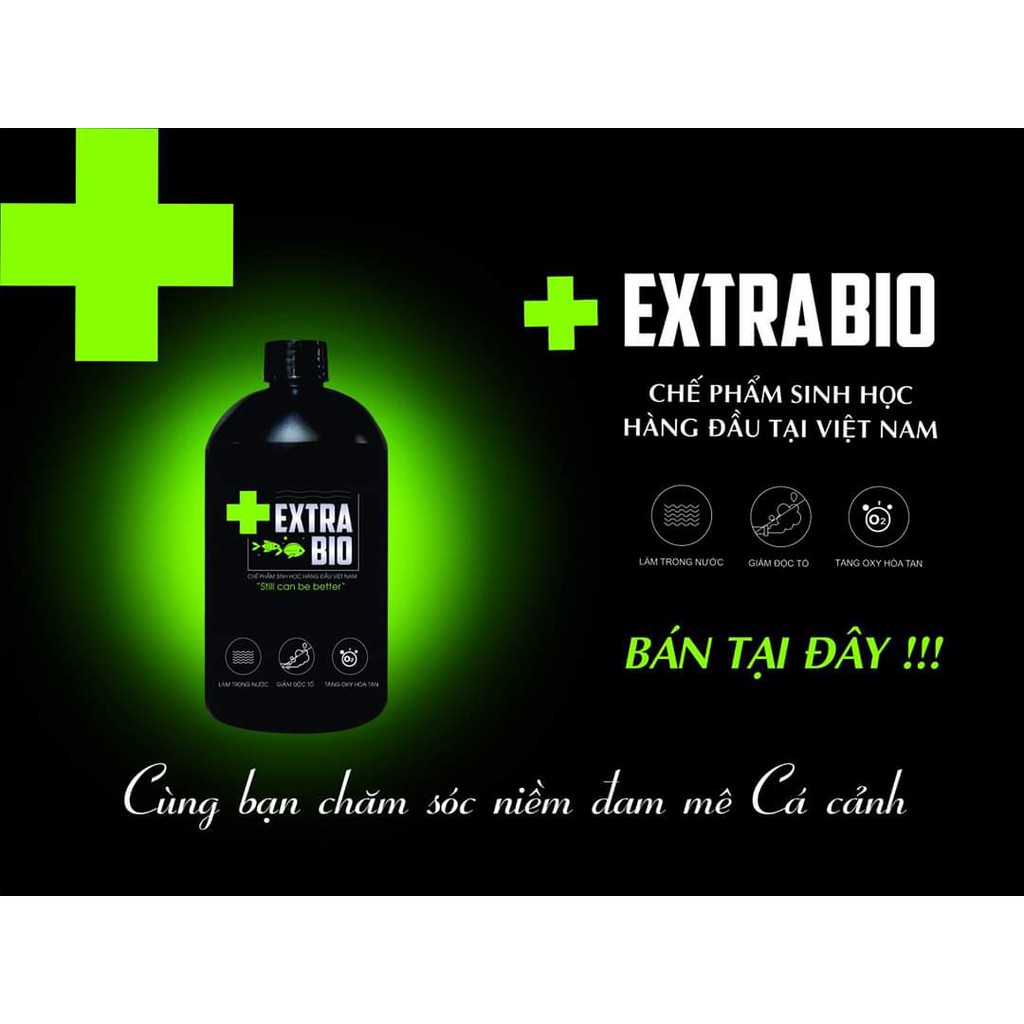Chế Phẩm Sinh Học Extra Bio Làm Trong Nước 125ML / 250ML
