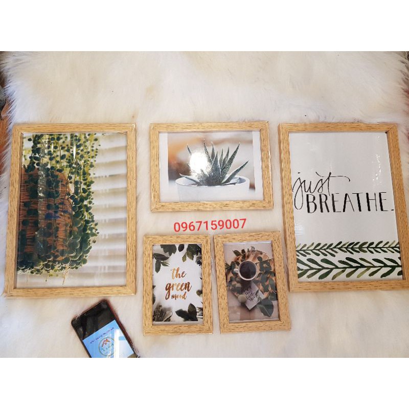 Rẻ nhất Bộ Khung Hàn Quốc Treo Tường Hoa Lá Xanh [Bảo Hành Bể Vỡ)
