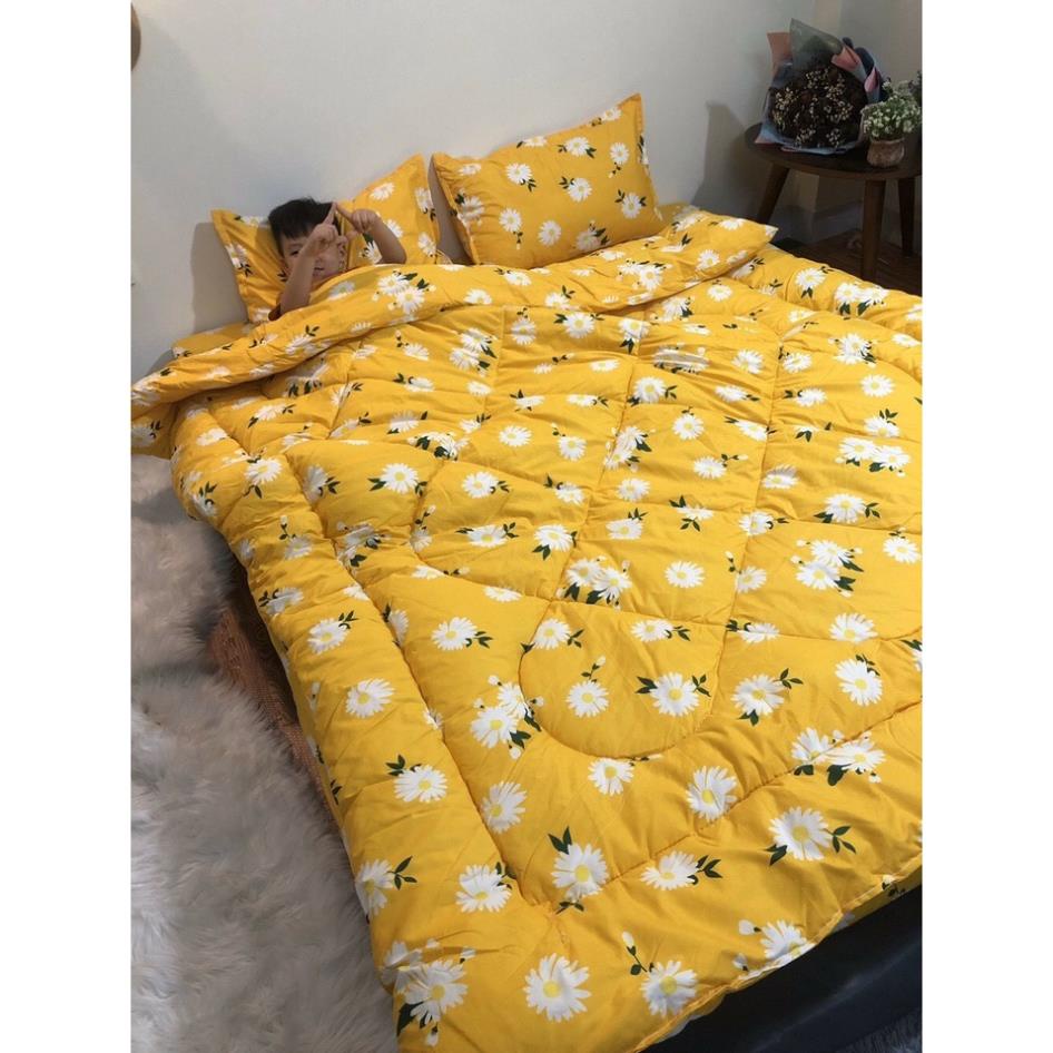 [KHAI TRƯƠNG SHOP] Set 5 Món Chăn Phao Cao Cấp Hàng Loại 1 Mẫu Ma Đa Dạng