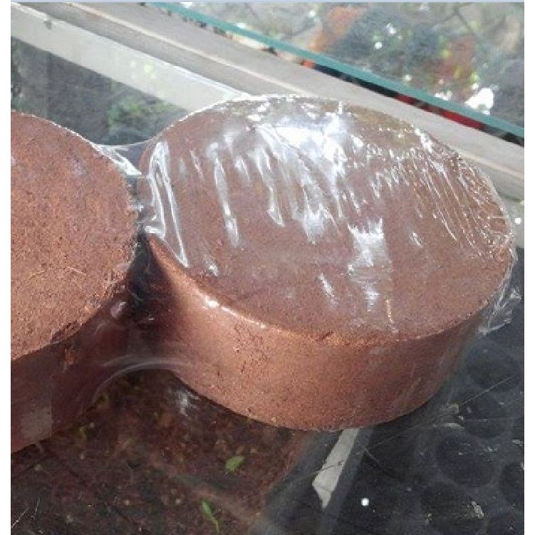 Viên nén mùn dừa trồng cây - Mùn dừa viên nén  1 viên 500gr