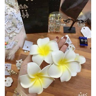 Hoa đại cài tóc cho các bạn gái