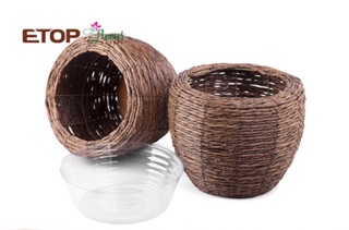 Chậu nhựa giả cói 2