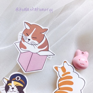 Bullet journal sticker - set sticker mèo