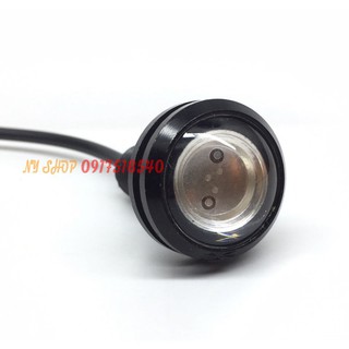 XINHAN CÚC ÁO ( GIÁ 1 CẶP ) (hình thật)