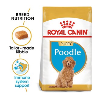 Hạt thức ăn Royal Canin Poodle Junior 500g