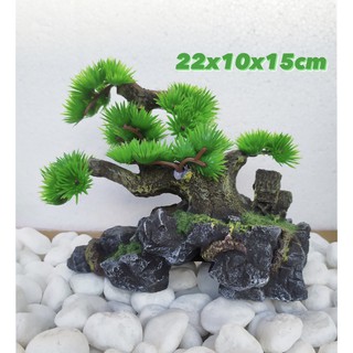 [MS 42] Gốc Đá Cây Cổ Thụ Trang Trí Hồ Cá, Hòn Non Bộ, Sân Vườn..