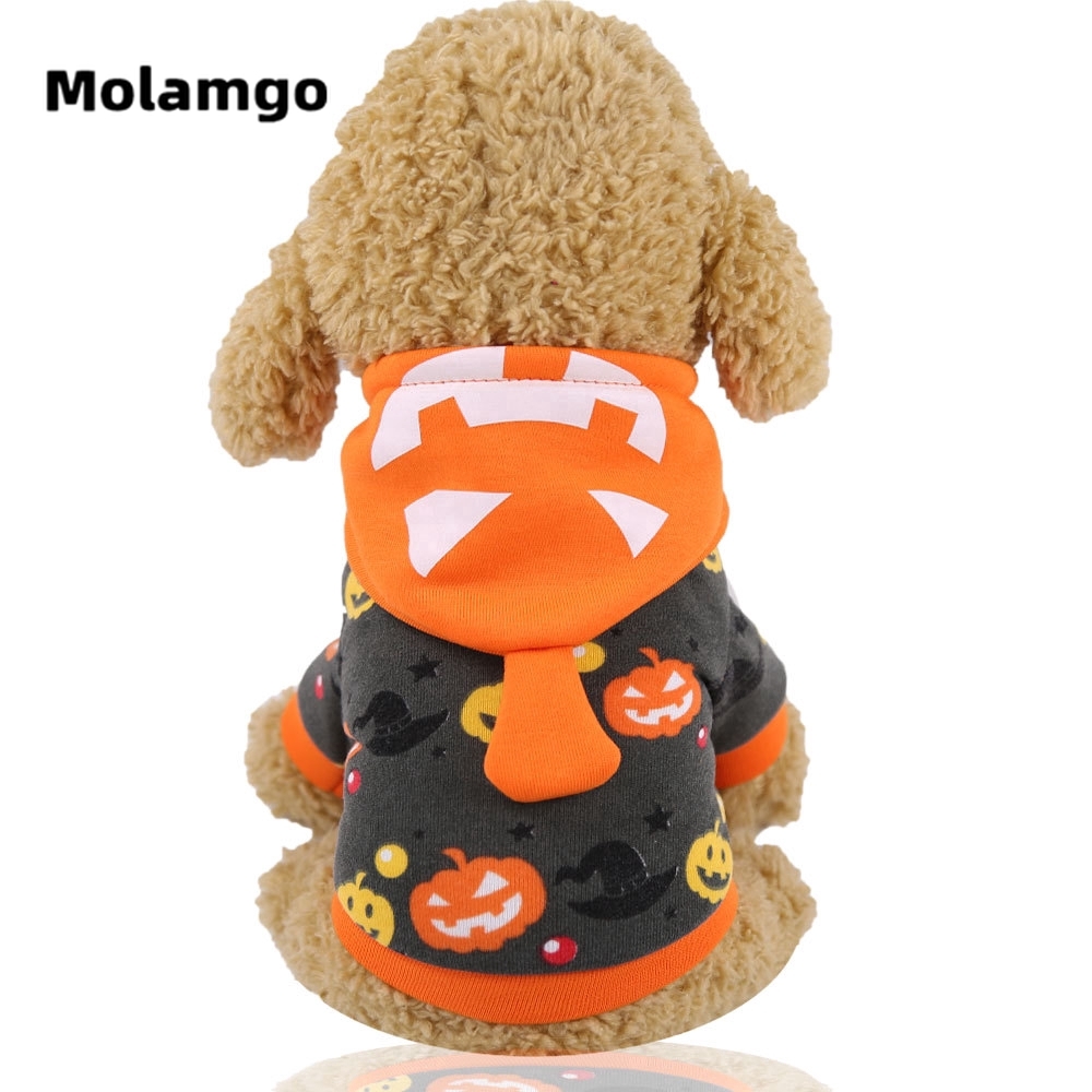 Áo MOLAMGO Họa Tiết Bí Ngô Độc Đáo Cho Thú Cưng