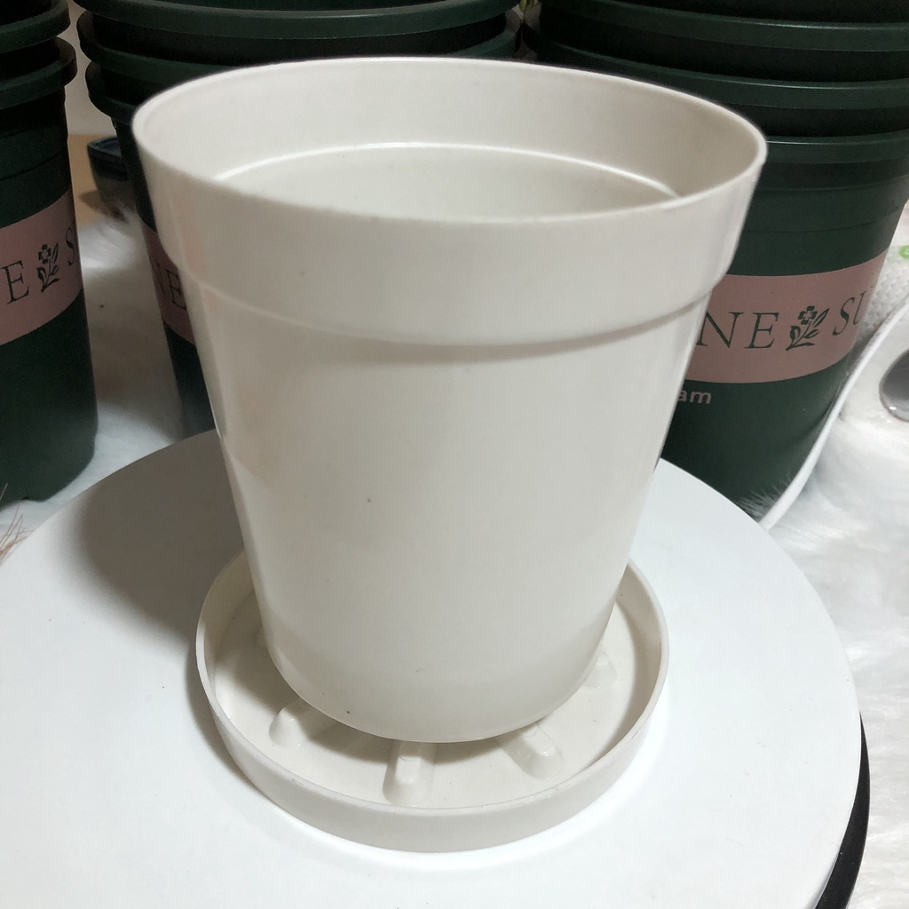 CHẬU TRỒNG SEN ĐÁ - CÂY CẢNH MINI, XƯƠNG RỒNG, BONSAI BẰNG NHỰA ĐA DẠNG HÌNH DÁNG