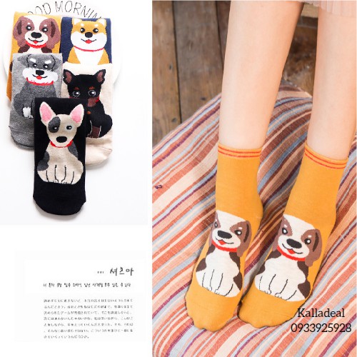 Tất Hình Chú Chó Cổ Trung