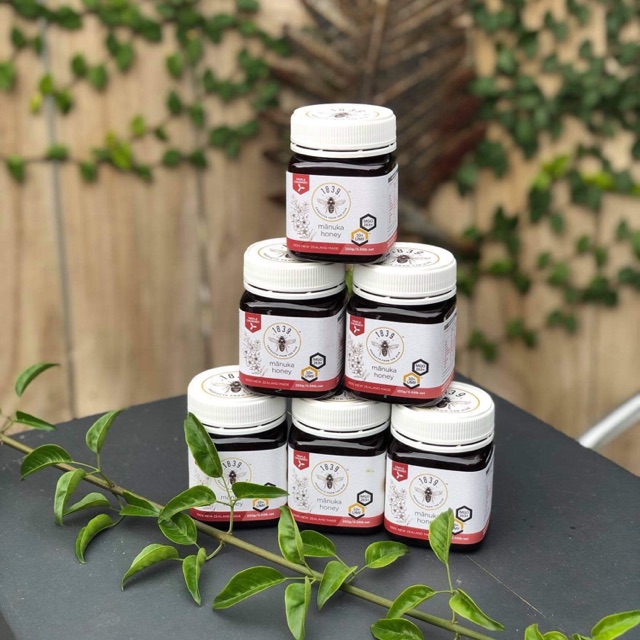 Mật Ong Manuka 1839 - New Zealand 250gr