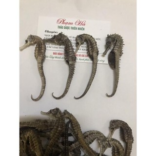 CÁ NGỰA KHÔ SIZE 6-8CM