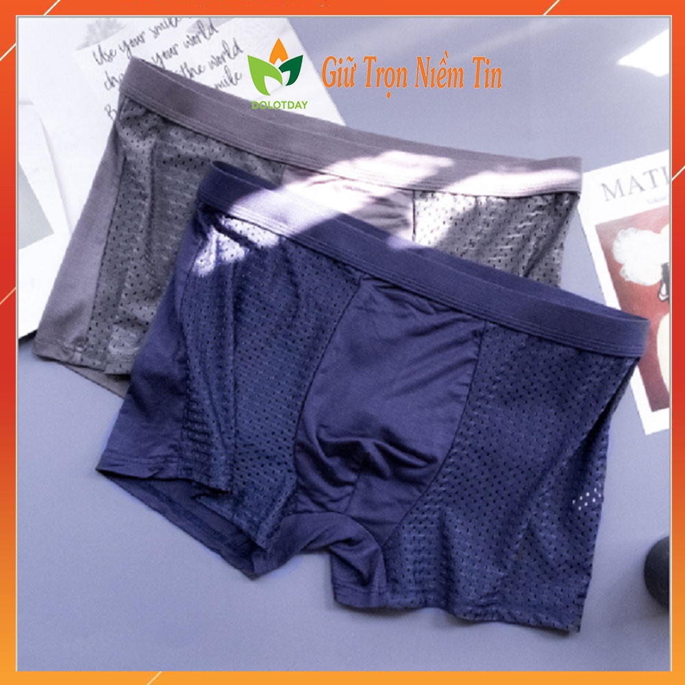 TÚI 2 Quần Lót Nam BOXER Lưới Nhật Thông Hơi Thoáng Khí Kháng Khuẩn Co Giãn Thoải Mái LOTNAM10