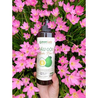 Dầu gội bưởi non thiên nhiên GreenLab