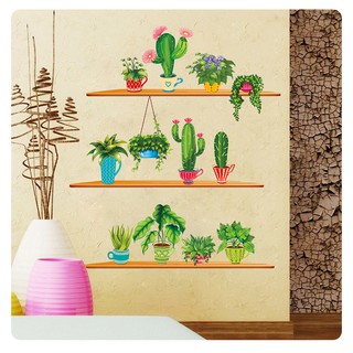 Decal dán tường chậu xương rồng decor kiểu mới