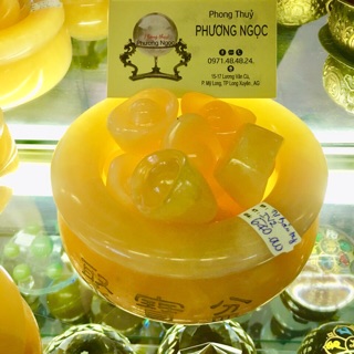 Chậu tụ bảo