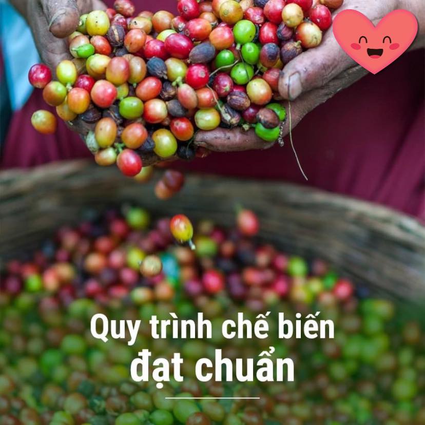 Tìm hiểu về cà phê organic là gì