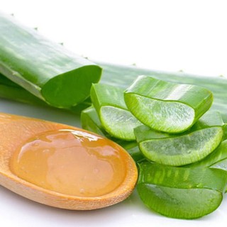 Chiết Xuất Nha Đam ( Aloe Vera Extract )