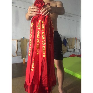Băng đô Việt Nam Vô Địch