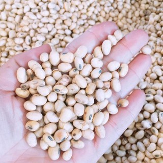 1KG ĐẬU NÀNH SẤY GIÒN LOẠI NGON