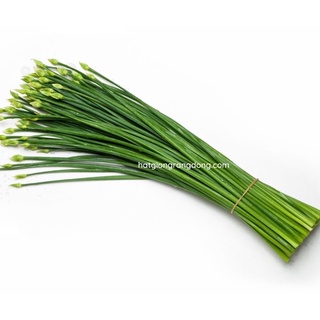 Hạt Giống Hẹ Ăn Bông 523