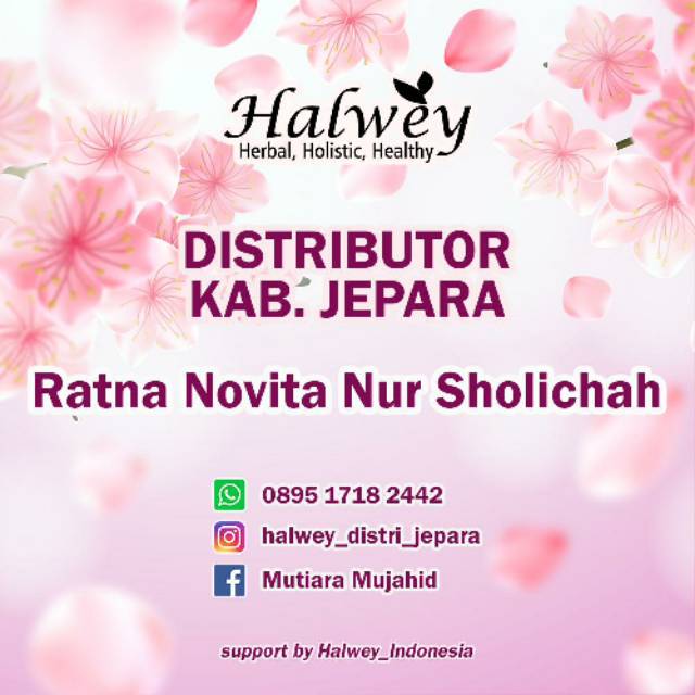 distributorhalwey_jepara.vn