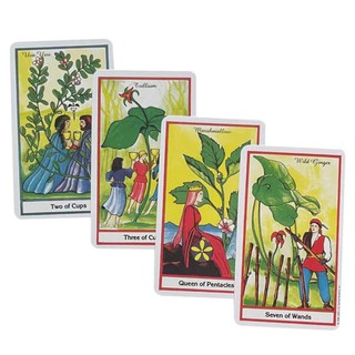 Bộ bài Herbal Tarot Size Thường A6