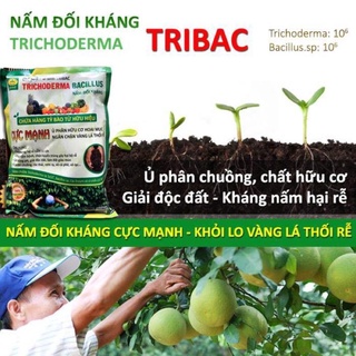 1kg nấm đối kháng Trichoderma ủ phân hữu cơ .