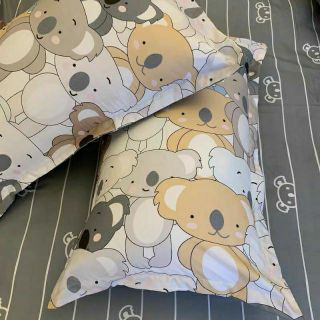 Bộ Chăn Ga Gối Gấu Koala Cotton Poly