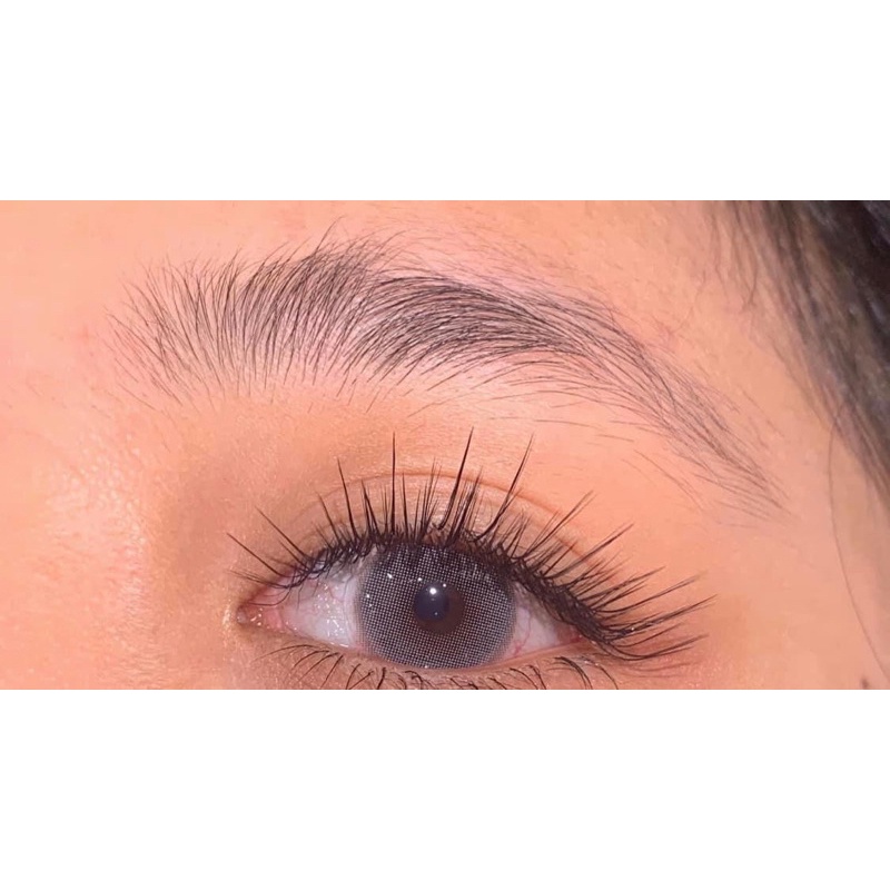 Mi color tip silk lash- mi color, mi 16 line [ CHÍNH HÃNG ]