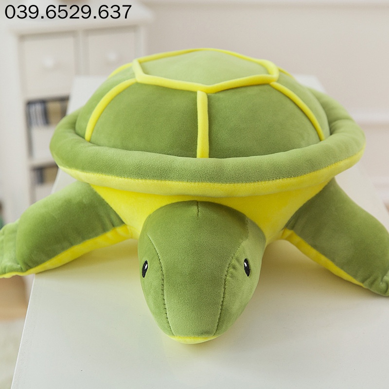 Gấu bông teddy bear hình con rùa, rùa bông màu xanh gấu bông cao cấp Nằm sấp đọc sách Con gái Quà tặng sinh nhật ngày lễ