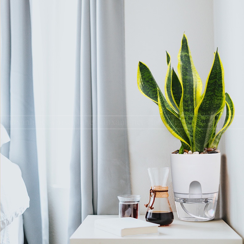 Chậu cây thông minh tự tưới nước/chậu nhựa 2 lớp cao cấp đường kính 15cm/ trồng cây xanh để bàn văn phòng hiện đại