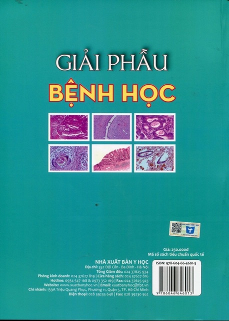 Sách - Giải phẫu bệnh học