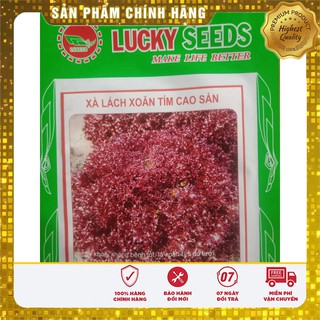 Hạt Giống Rau Xà Lách Xoăn Tím - 1gr