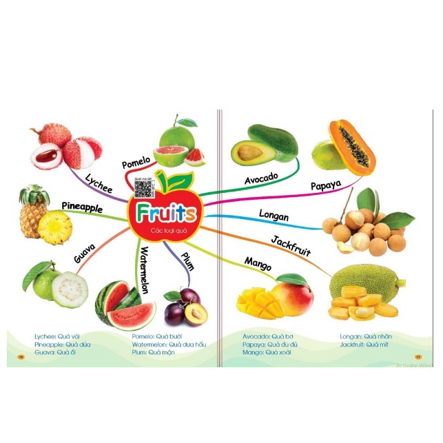 Sách - Chinh Phục Từ Vựng Tiếng Anh - Theo Sơ Đồ Tư Duy Mind Map  NSTO