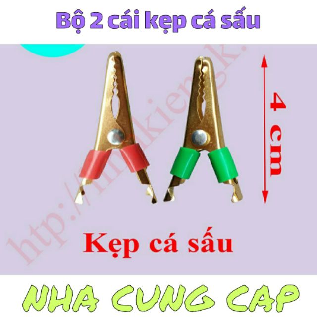 BỘ 2 CÁI KẸP CÁ SẤU 4in