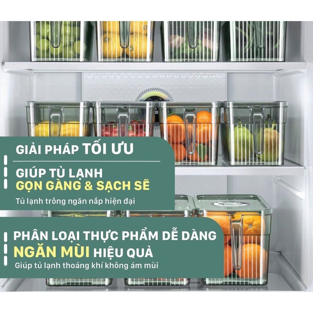 Hộp Đựng Thực Phẩm Tủ Lạnh Có Tay Cầm Kèm Khay Lọc Nước, Chất Liệu An Toàn, Chắc Chắn