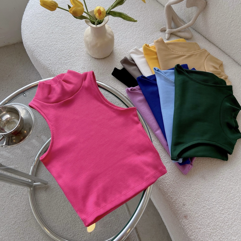 Áo croptop cổ lọ sát nách HEYBEE chất thun tăm gân siêu co giãn mềm mịn - EDEN SLEEVELESS TOP HAT10