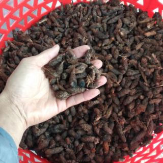Củ Gấu (Cỏ Gấu, Hương Phụ) Khô 1KG