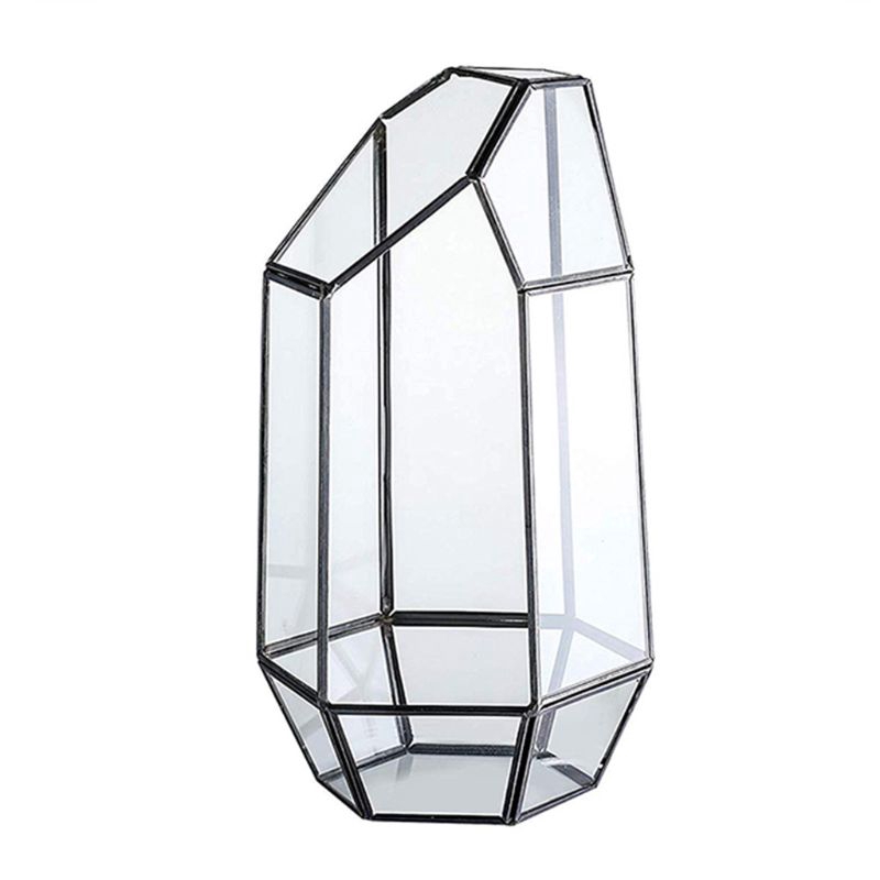 Hộp Thủy Tinh Trồng Cây Trang Trí Trong Nhà Với Thiết Kế Sáng Tạo Bắt Mắt 9.4 Inch