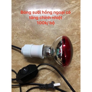 Bóng sưởi hồng ngoại cho thú cưng