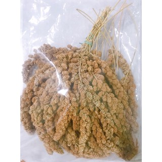 Kê chùm- dành cho hamster,sóc,nhím