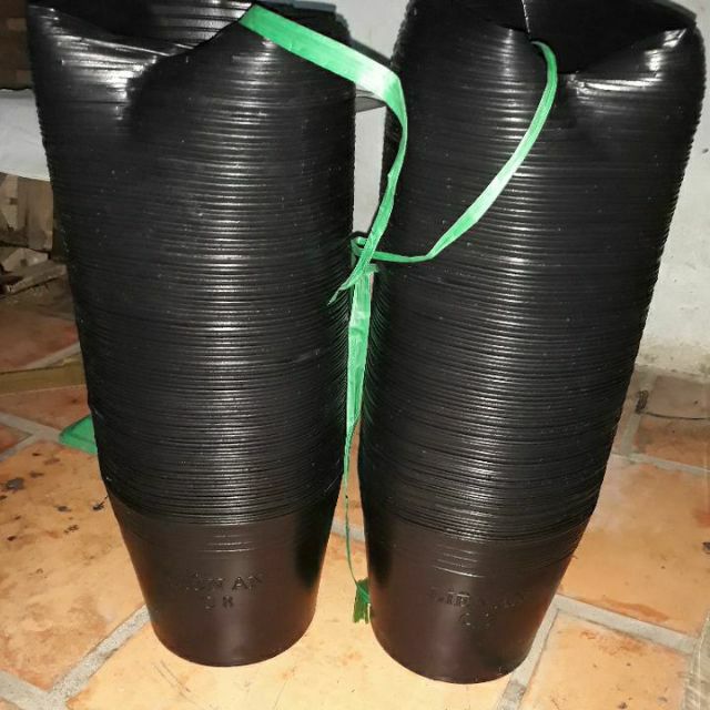 Chậu nhựa. Combo 200 cái c8