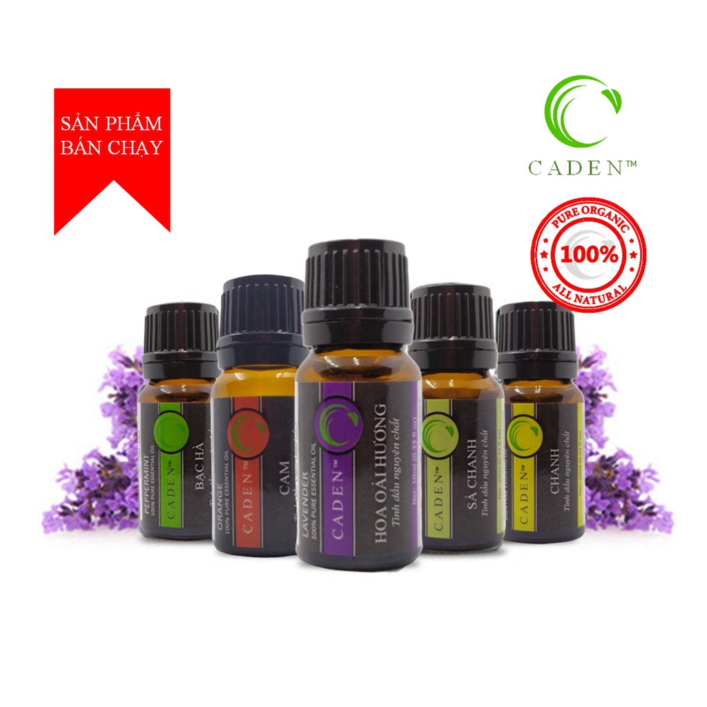 Tinh dầu thiên nhiên Laender, Lài, Quế, Tràm, Sả Chanh 10ML