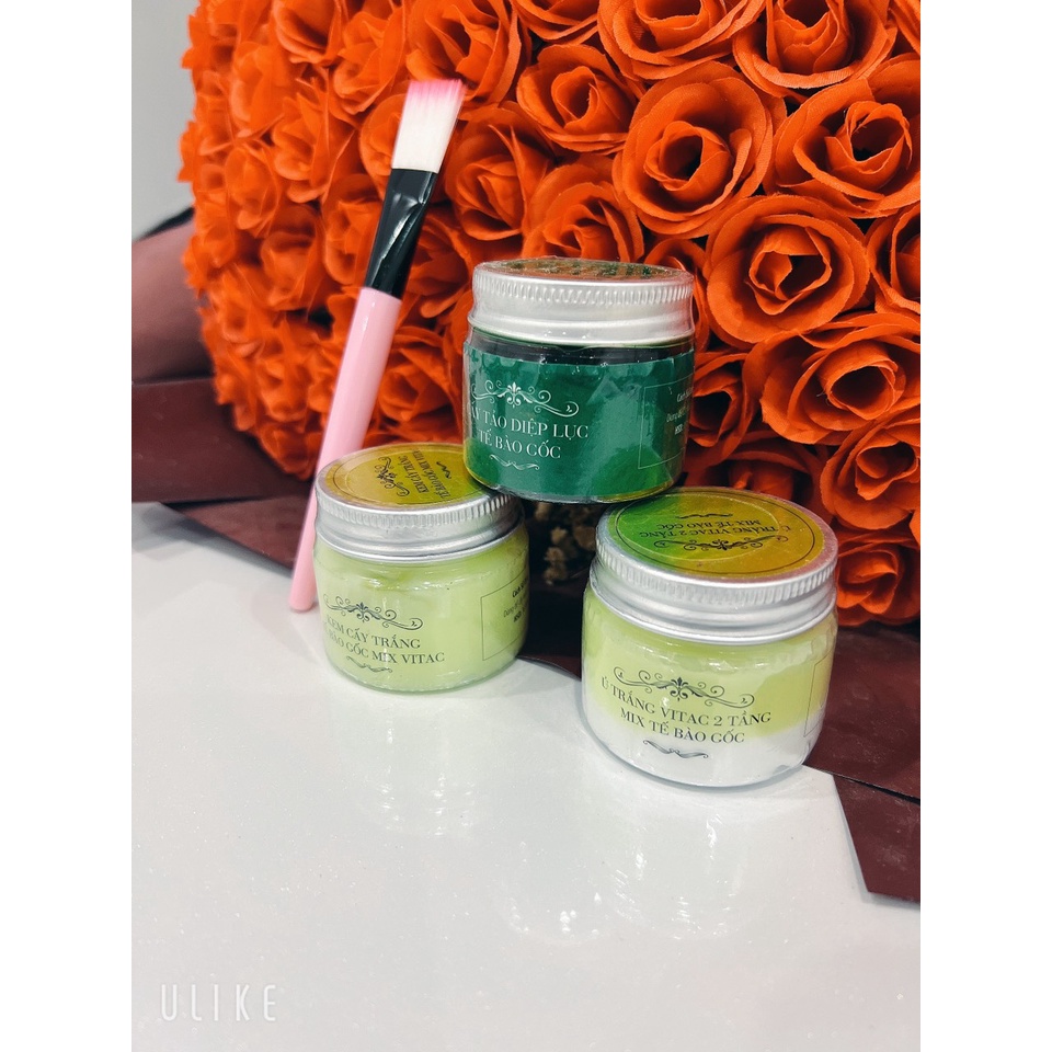 Combo cấy tảo diệp lục tế bào gốc, kem cấy trắng tế bào gốc,ủ trắng vitac 2 tâng mix tế bào gốc tặng bát thìa