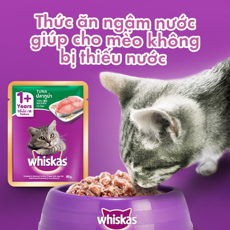 Pate Mèo lớn Whiskas 80g thức ăn dinh dưỡng cho Mèo - Nhiều hương vị