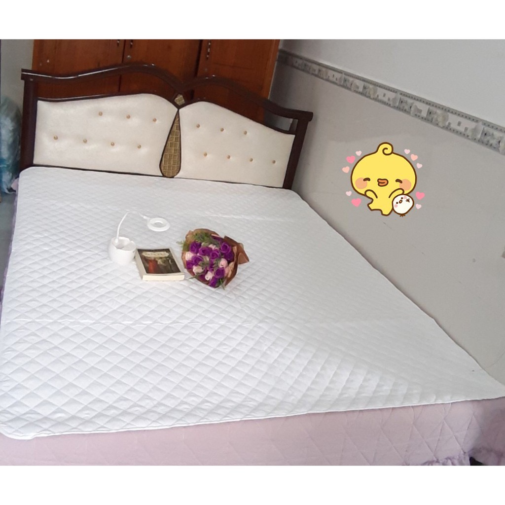 Bảo Vệ Nệm Cotton Chống Thấm Nước Tuyệt Đối Cao Cấp - Màu Trắng Lan Pham Bedding