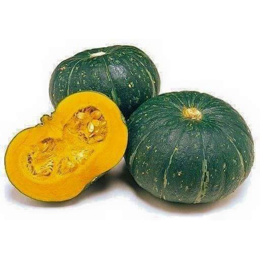 Hạt giống Bí ngô nhật Thái lan 5gr ~ 50 hạt nhập nguyên gói